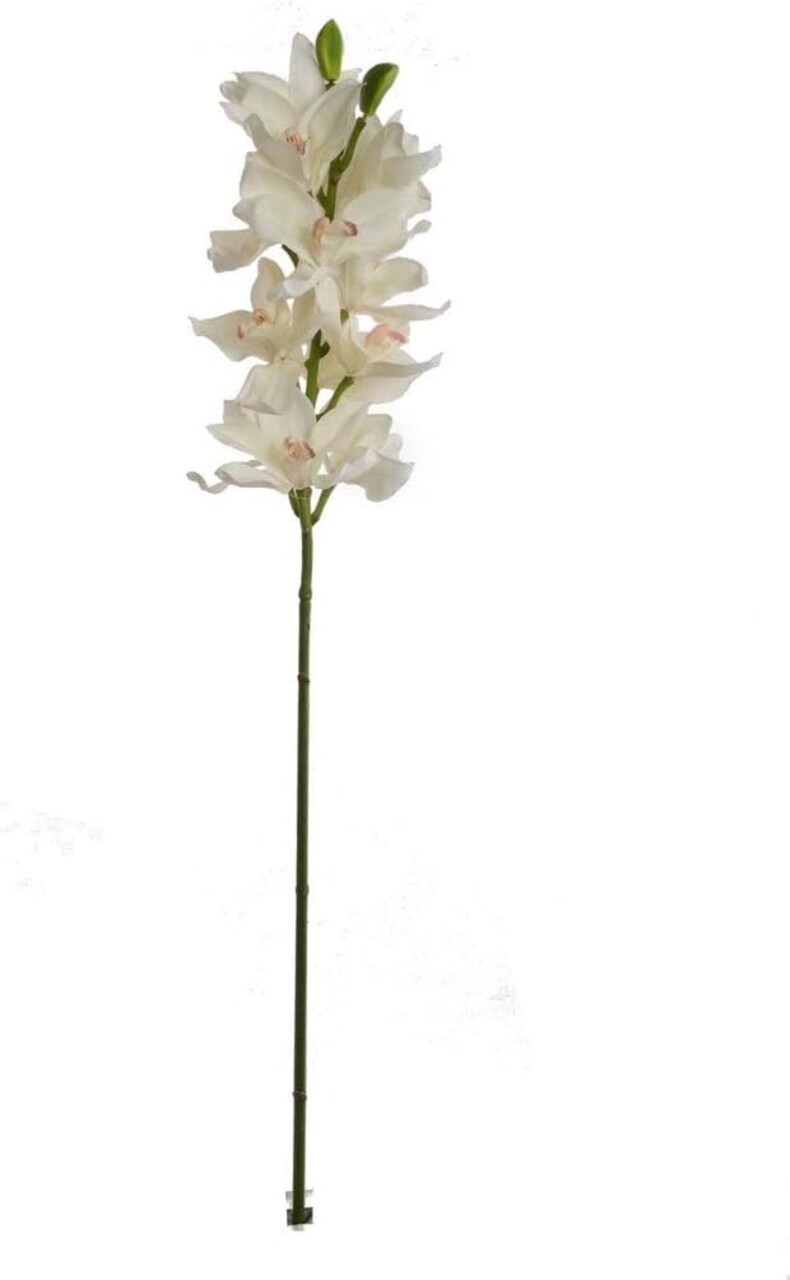 Luxurious Real Touch White Cymbidium Orchid Stem - Lifelike Artificial Flower